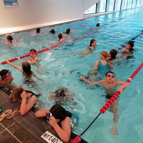 Schwimmen 13
