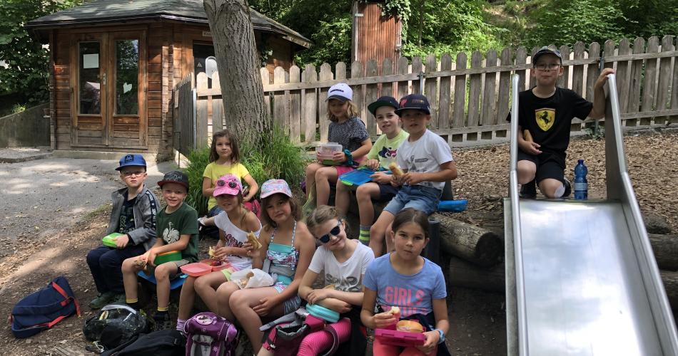 Alpenzoo 1